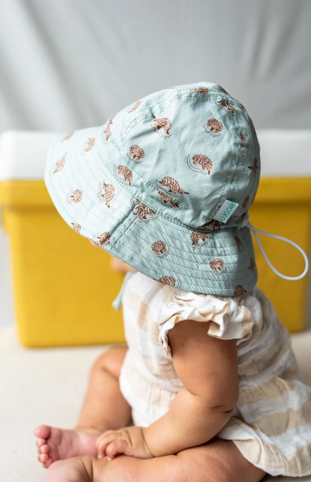 Echidna Wide Brim Infant Hat