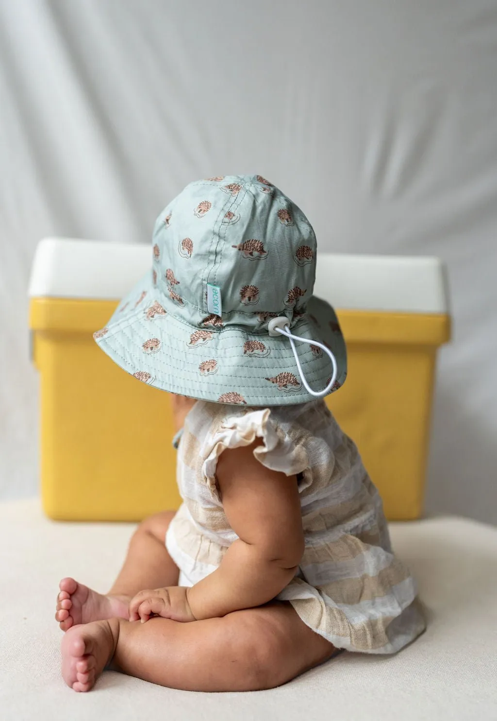 Echidna Wide Brim Infant Hat