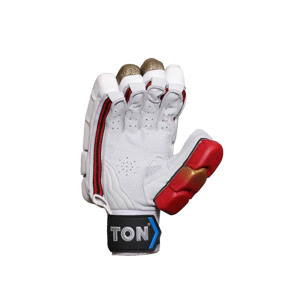 SS Ton Pro 1.0 Cricket Batting Gloves